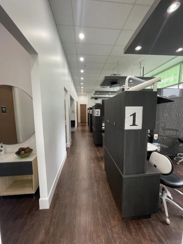 newton-5-1